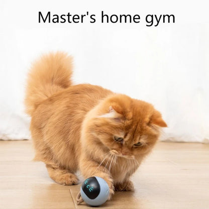 Electronic Magic Ball For Pets